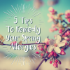 Spring Allergy Tips