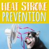 Image of dog cooling off in front of a fan with the text "heat stroke prevention"