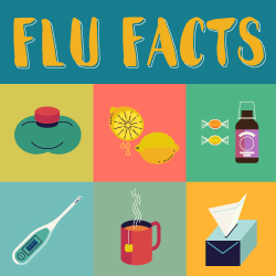 FluFacts