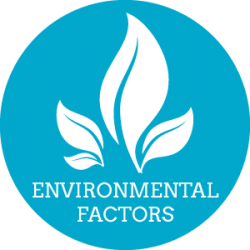 Environmental_Factors_2