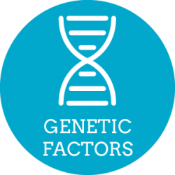 Genetic_Factors