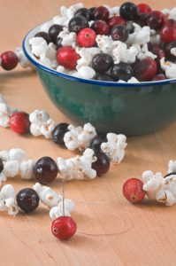 popcorn and cranberries